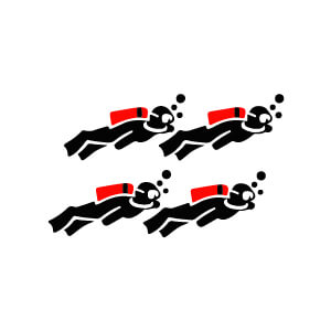 dive group size
