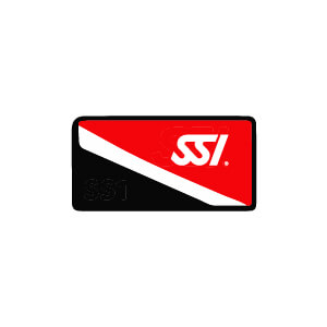 SSI