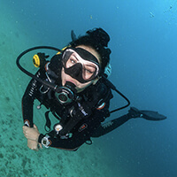 Divemaster Training