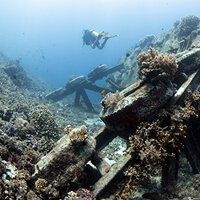 Bounty Wreck dive site