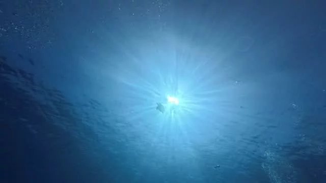 A dream beneath the surface
.
.
#scubadiving #3wdive #giliair #marinelife