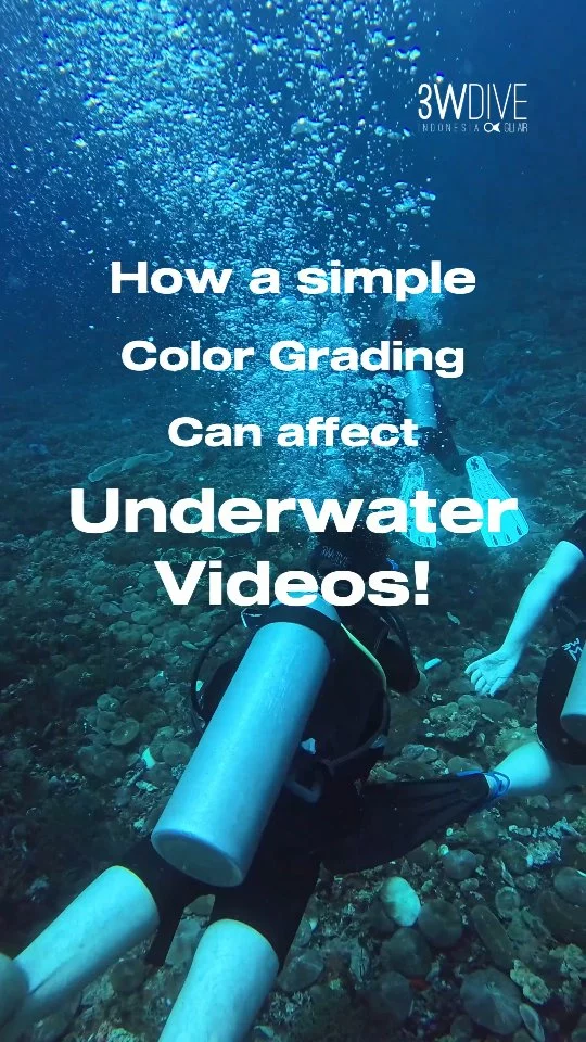 Did you know just with a simple color grading, you can enhance your video quality? Especially underwater videos! 🎥💯
.
.
#3wdive #scubadiving #giliair #marinelife #indonesia #underwaterworld