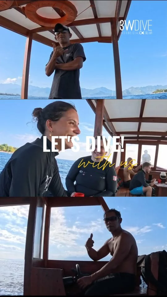 Come, join us, and become one with the tribe! 🤿
.
.
.
#3wdive #scubadiving #giliair #marinelife #underwaterworld #giliislands #divingindonesia #scuba #cuttlefish